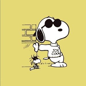 Meet your Posher, Beto